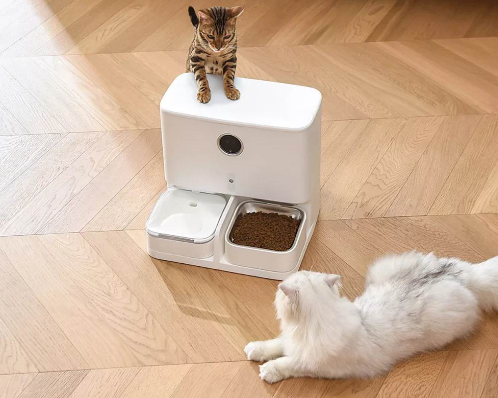 dog food feeder automatic